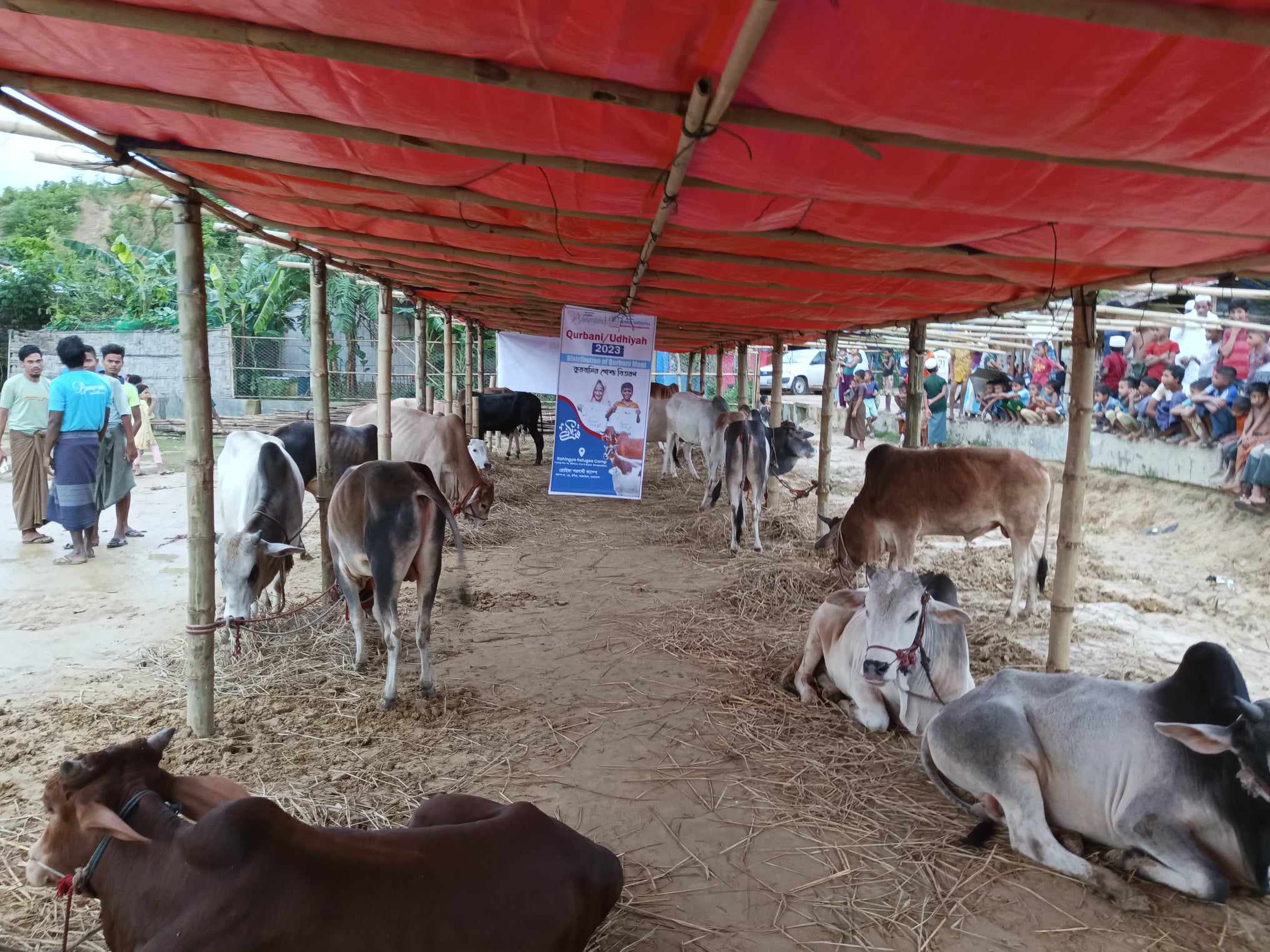 Benefits of Qurbani in Islam