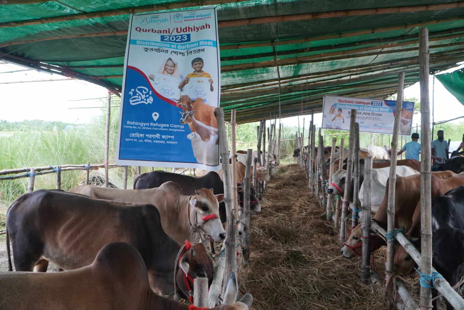 How to Perform Qurbani – A Step-by-Step Guide