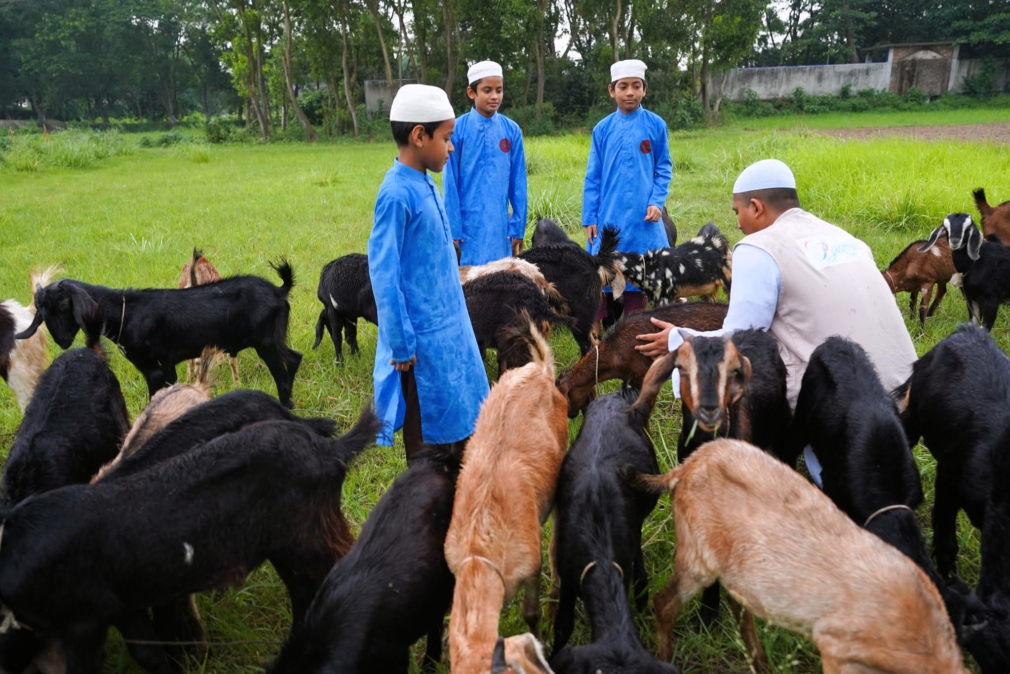 BASMAH Guide to Qurbani: Rules, Requirements, and How Your Sacrifice Helps